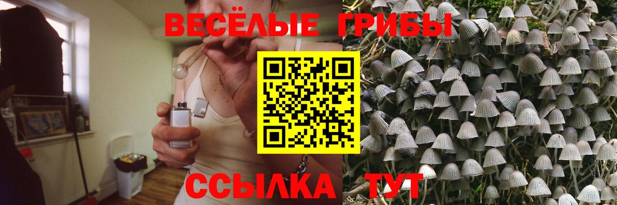 Псилоцибиновые грибы Psilocybine cubensis Люберцы